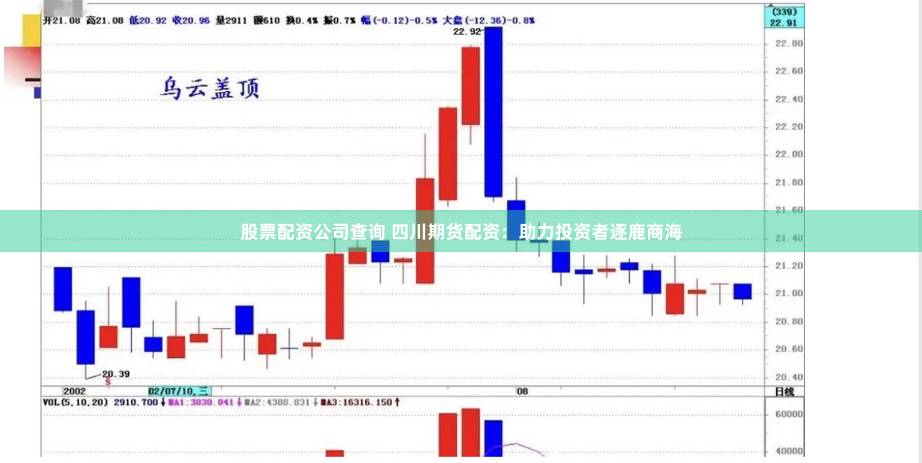 股票配资公司查询 四川期货配资：助力投资者逐鹿商海