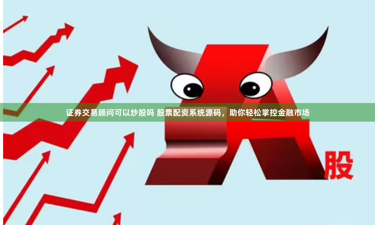 证券交易顾问可以炒股吗 股票配资系统源码，助你轻松掌控金融市场