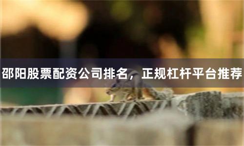 邵阳股票配资公司排名，正规杠杆平台推荐