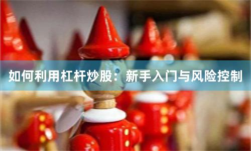 如何利用杠杆炒股：新手入门与风险控制