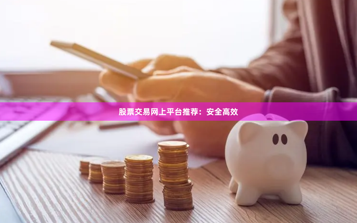 股票交易网上平台推荐：安全高效
