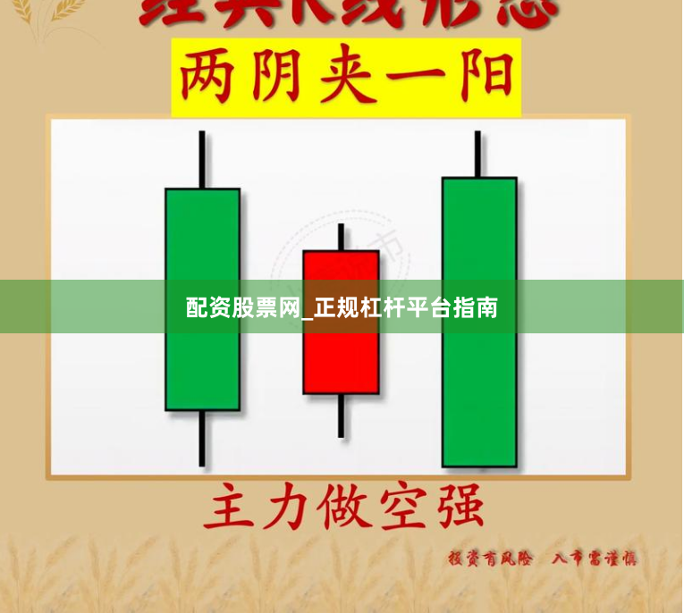 配资股票网_正规杠杆平台指南